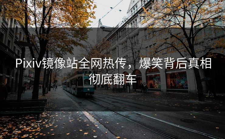 Pixiv镜像站全网热传，爆笑背后真相彻底翻车