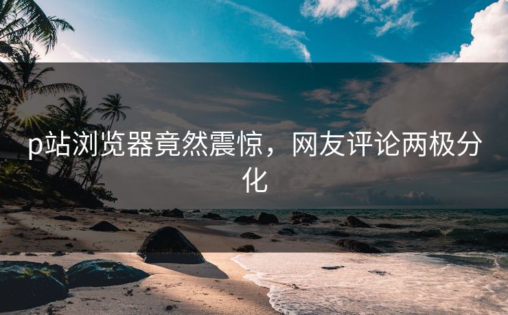 p站浏览器竟然震惊，网友评论两极分化