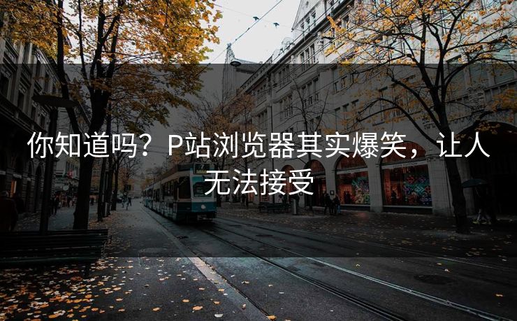 你知道吗？P站浏览器其实爆笑，让人无法接受