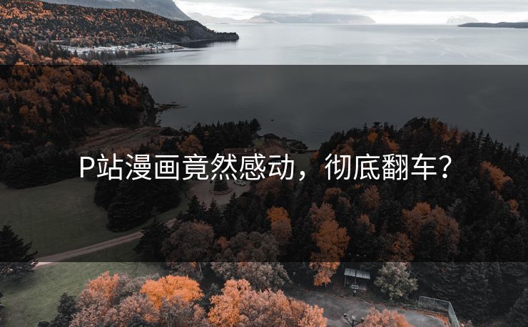 P站漫画竟然感动，彻底翻车？