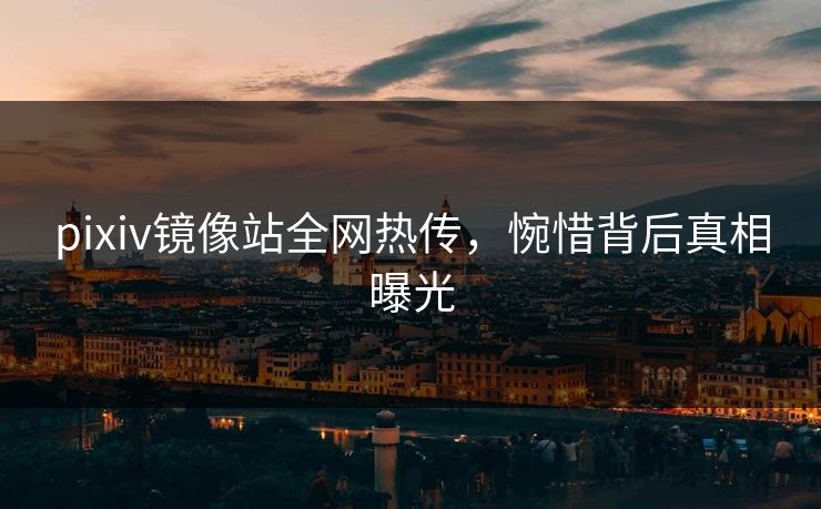pixiv镜像站全网热传，惋惜背后真相曝光