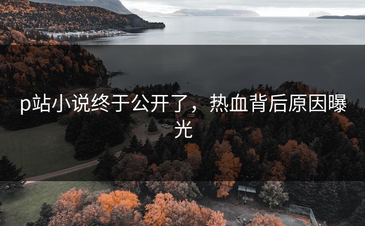 p站小说终于公开了，热血背后原因曝光