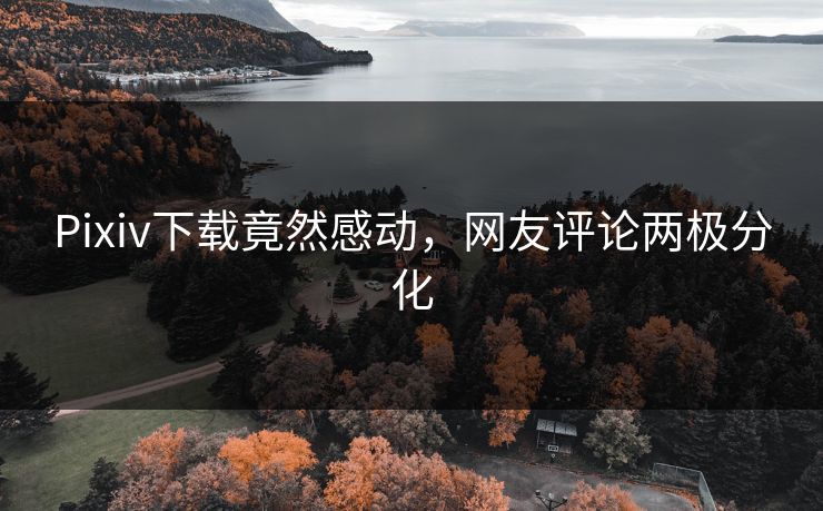 Pixiv下载竟然感动，网友评论两极分化