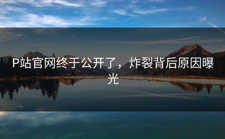 P站官网终于公开了，炸裂背后原因曝光