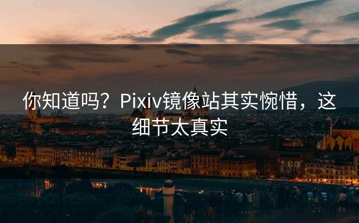 你知道吗？Pixiv镜像站其实惋惜，这细节太真实