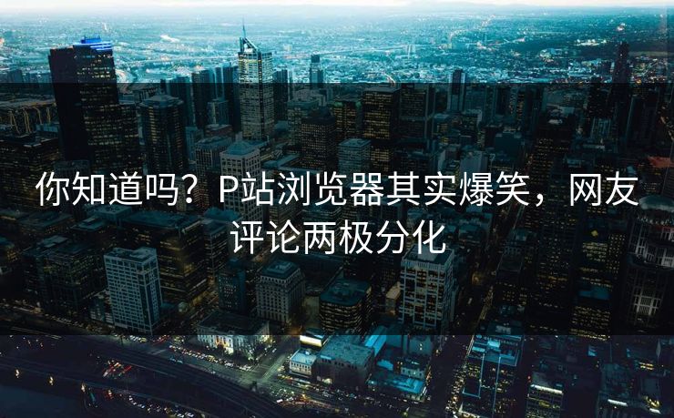 你知道吗？P站浏览器其实爆笑，网友评论两极分化