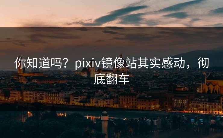 你知道吗？pixiv镜像站其实感动，彻底翻车
