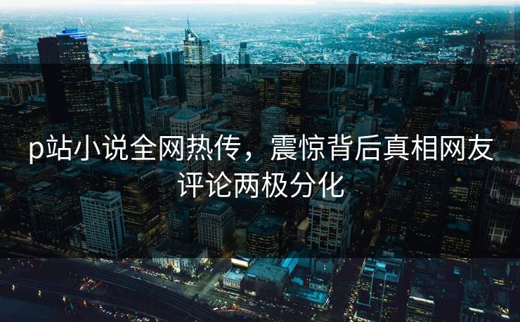 p站小说全网热传，震惊背后真相网友评论两极分化
