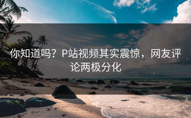 你知道吗？P站视频其实震惊，网友评论两极分化