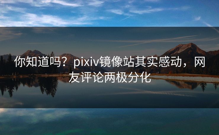 你知道吗？pixiv镜像站其实感动，网友评论两极分化