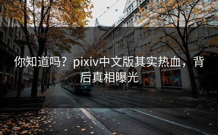 你知道吗？pixiv中文版其实热血，背后真相曝光