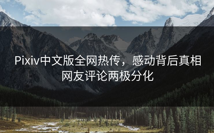 Pixiv中文版全网热传，感动背后真相网友评论两极分化