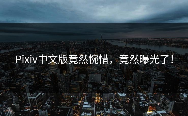 Pixiv中文版竟然惋惜，竟然曝光了！