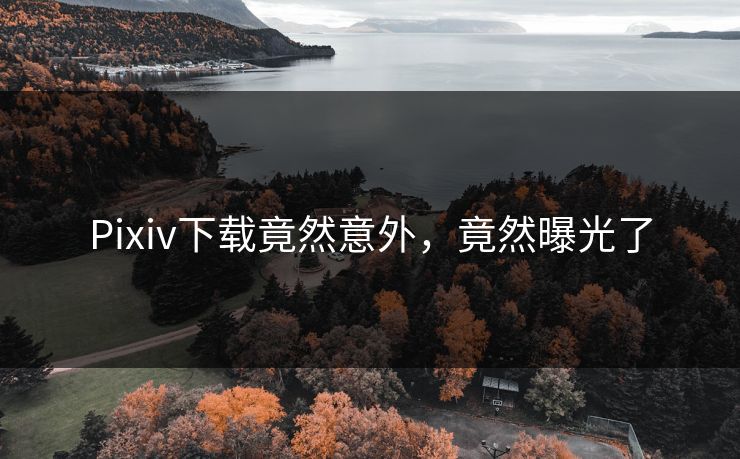 Pixiv下载竟然意外，竟然曝光了