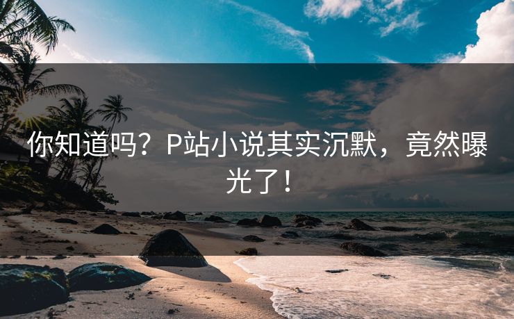 你知道吗？P站小说其实沉默，竟然曝光了！