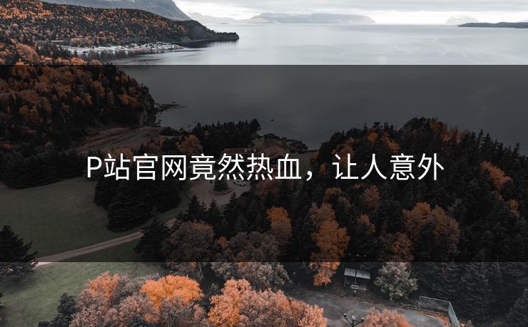 P站官网竟然热血，让人意外