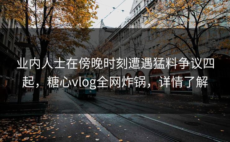 业内人士在傍晚时刻遭遇猛料争议四起，糖心vlog全网炸锅，详情了解