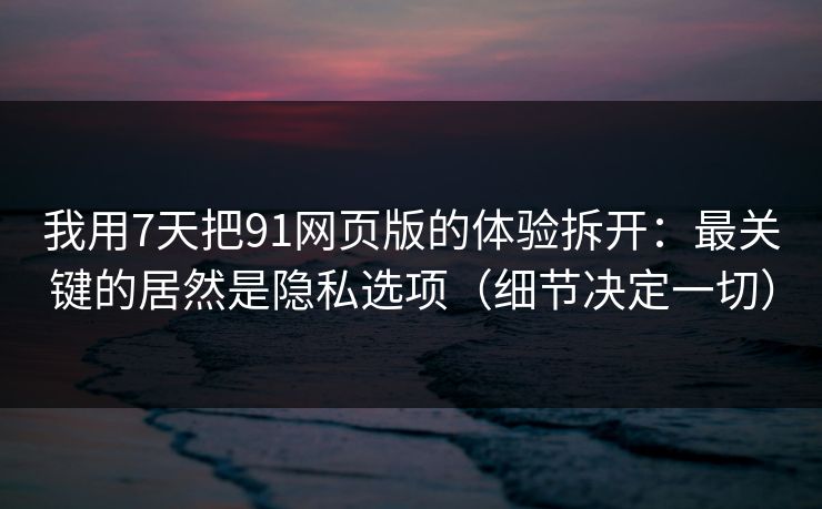 我用7天把91网页版的体验拆开：最关键的居然是隐私选项（细节决定一切）